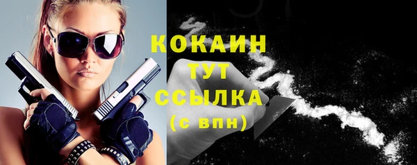 Альфа ПВП Гусев