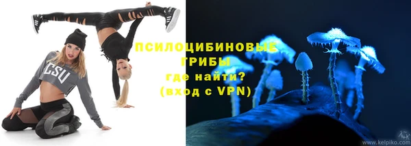 spice Дмитровск