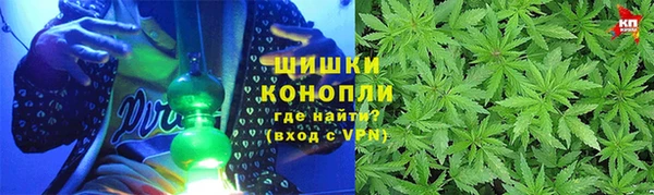 Альфа ПВП Гусев