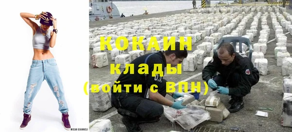 Альфа ПВП Гусев