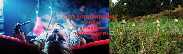 spice Дмитровск