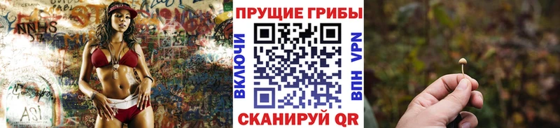 где найти   Новый Оскол  Галлюциногенные грибы Magic Shrooms 